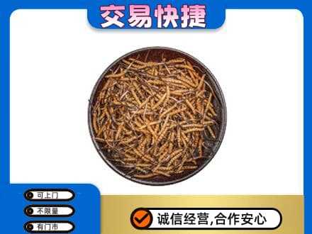博尔塔拉回收散虫草